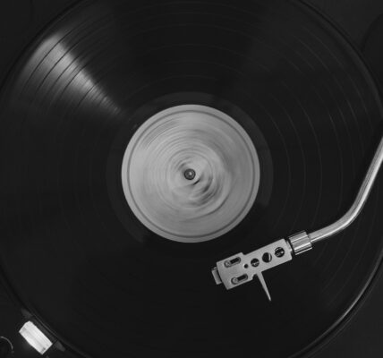 Vinyles et hi-fi: Le retour de l analogique