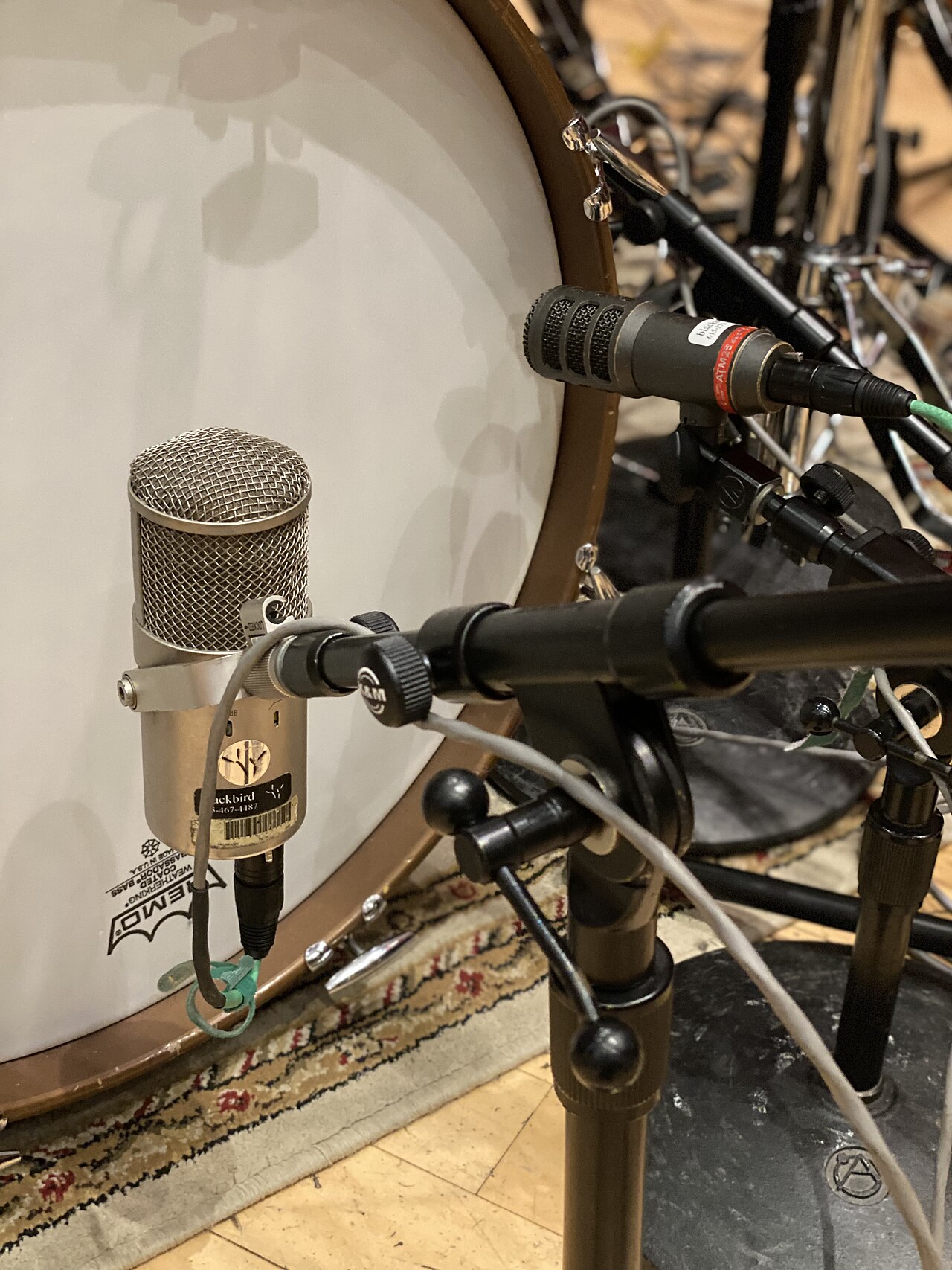 recording studio microphone (foto: The Blackbird Academy / CC BY-SA 2.0, Wikimedia Commons)