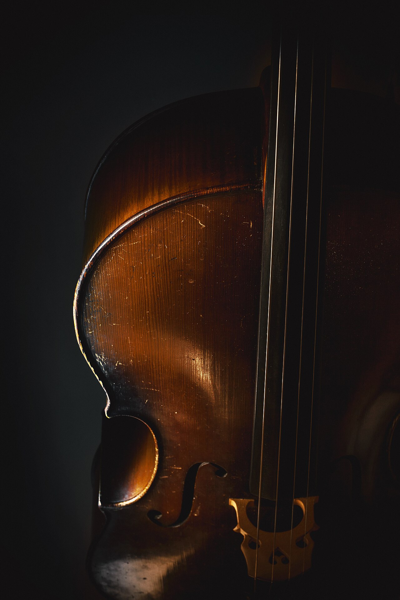 violin cello (foto: Dejan Krsmanovic / CC BY 2.0, Wikimedia Commons)