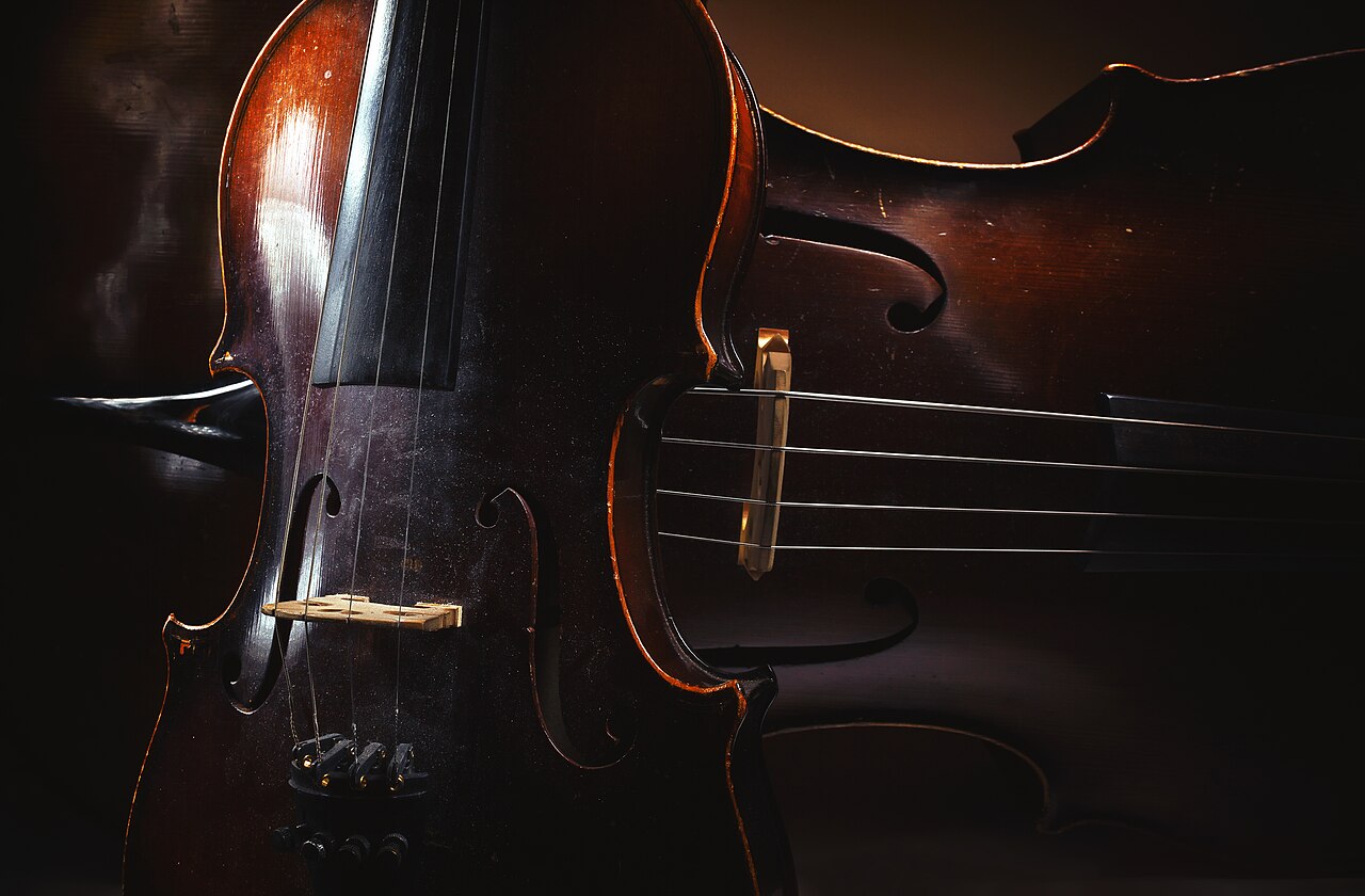 violin cello (foto: Dejan Krsmanovic / CC BY 2.0, Wikimedia Commons)