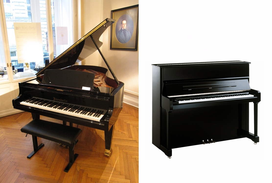 grand piano (foto: User:Gryffindor and User:Megodenas / CC BY-SA 3.0, Wikimedia Commons)