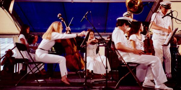 orchestra string section